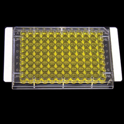 PCR ELISA封板膜